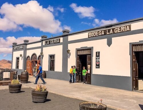 Bodega La Geria